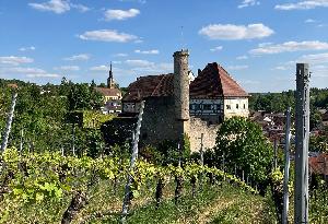 Der Turm der Oberen Burg in Talheim