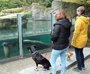 Erstes Hundewochenende