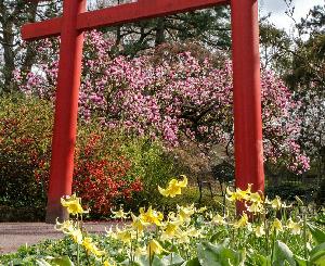 Führung durch den Japangarten Karlsruhe