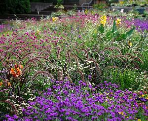 Botanische Führung im Zoologischen Stadtgarten Karlsruhe
