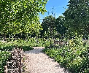 Urbaner Waldgarten für Hohenwettersbach